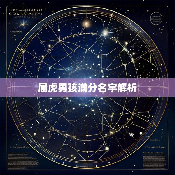 属虎男孩满分名字解析