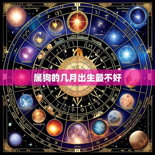 属狗的几月出生最不好