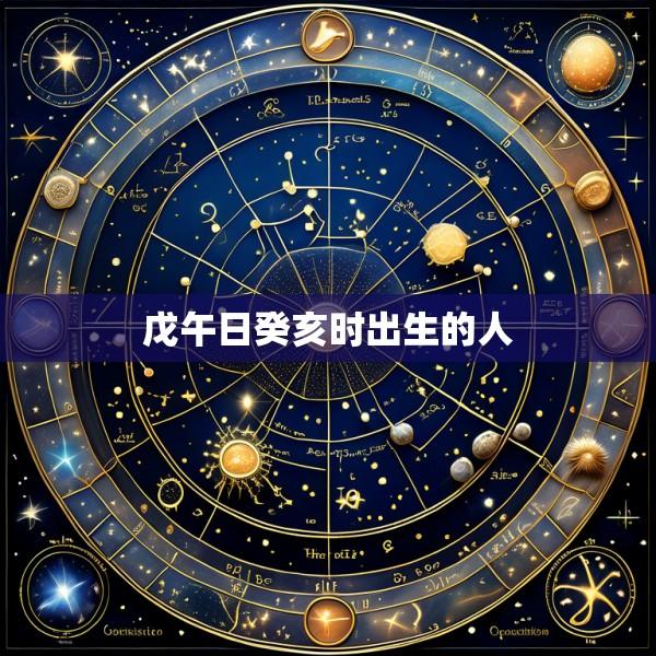 戊午日癸亥时出生的人