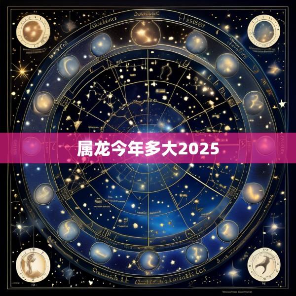 属龙今年多大2025