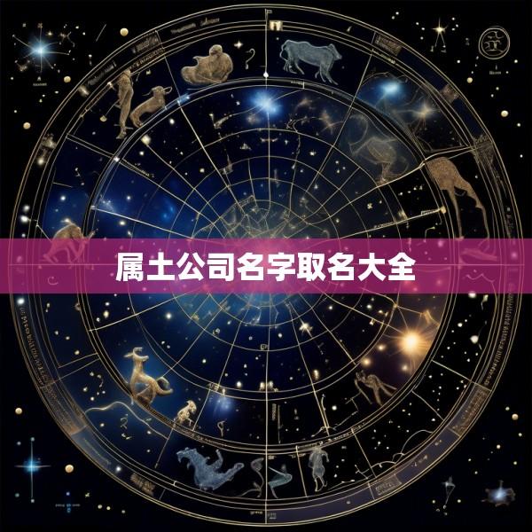 属土公司名字取名大全