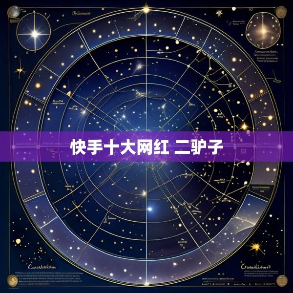 快手十大网红 二驴子