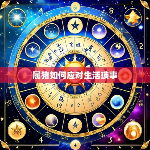 属猪如何应对生活琐事