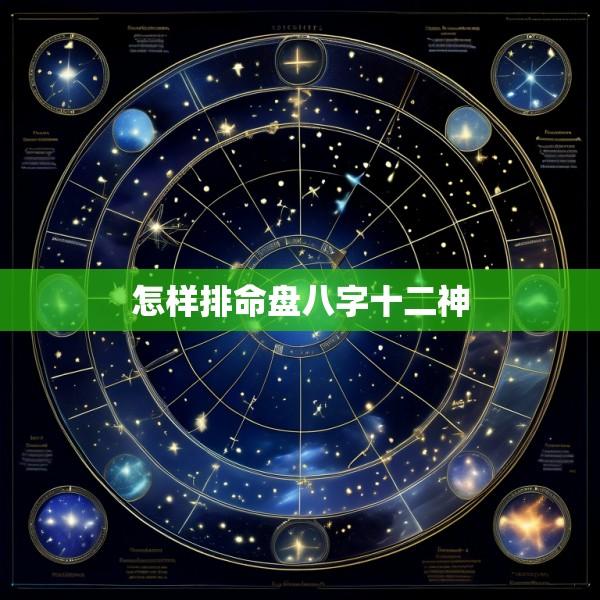 怎样排命盘八字十二神