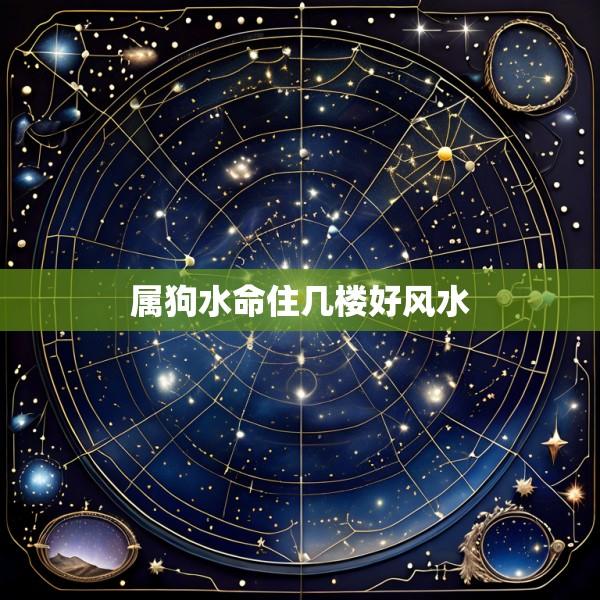 属狗水命住几楼好风水