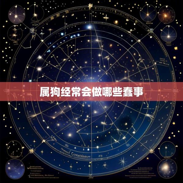 属狗经常会做哪些蠢事