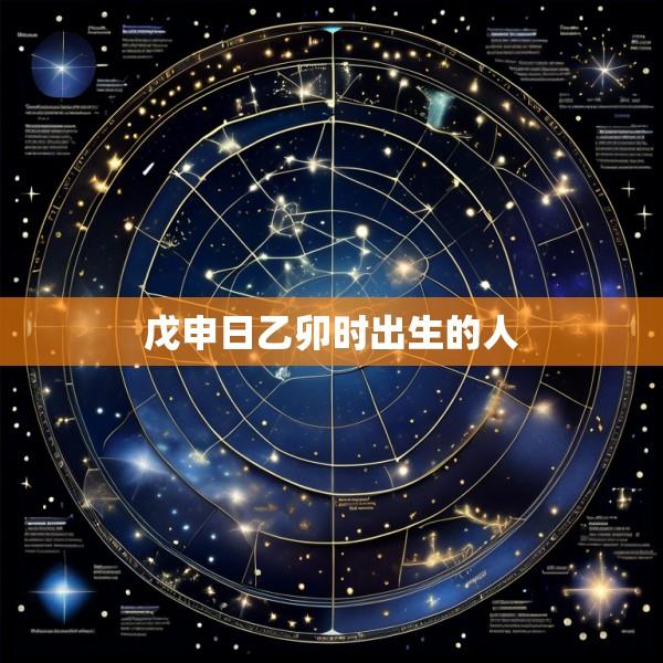 戊申日乙卯时出生的人
