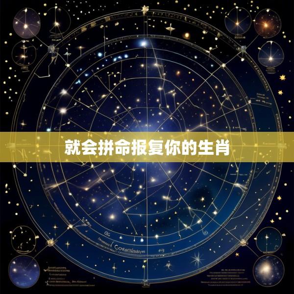 就会拼命报复你的生肖