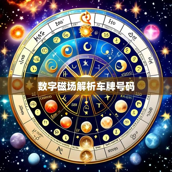 数字磁场解析车牌号码