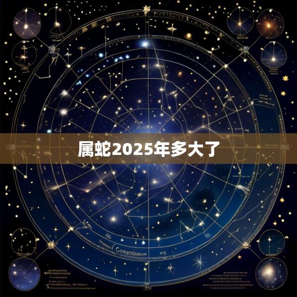 属蛇2025年多大了