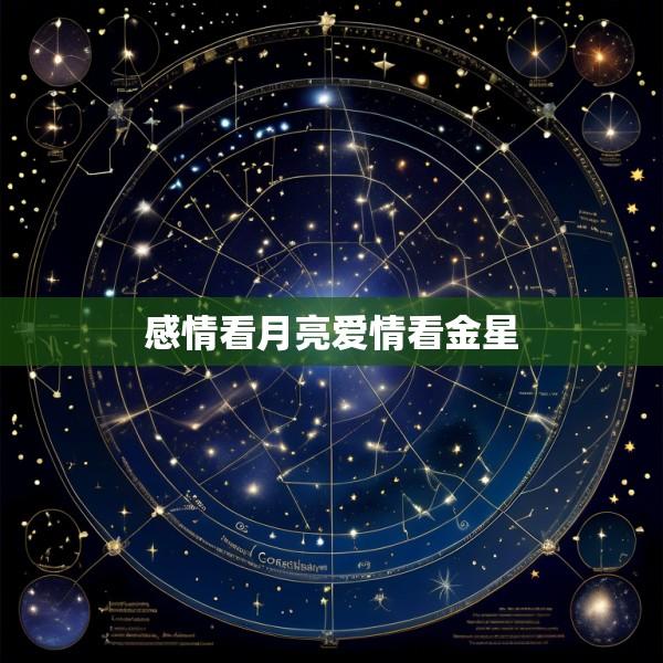 感情看月亮爱情看金星