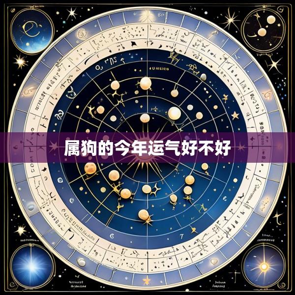 属狗的今年运气好不好