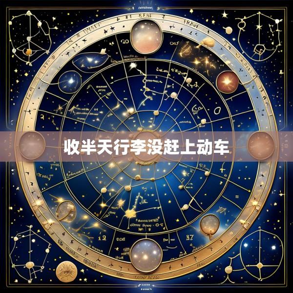 收半天行李没赶上动车