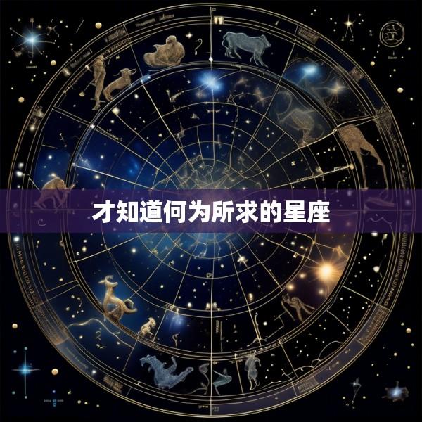才知道何为所求的星座