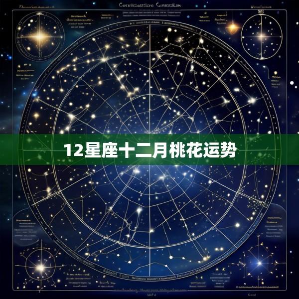12星座十二月桃花运势