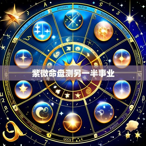 紫微命盘测另一半事业