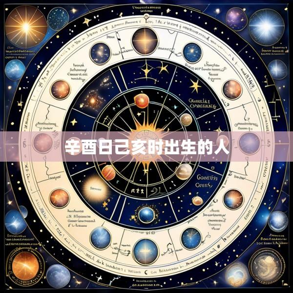 辛酉日己亥时出生的人