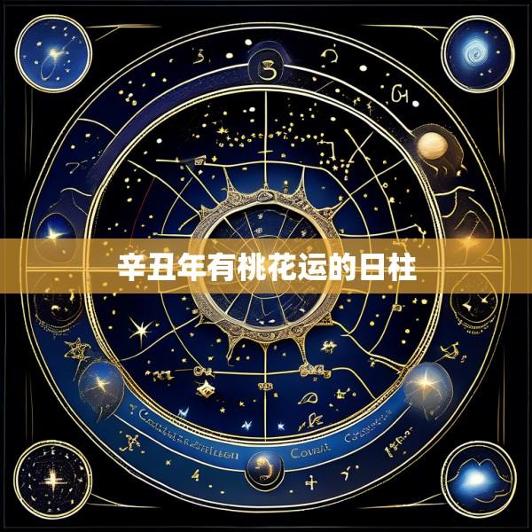 辛丑年有桃花运的日柱