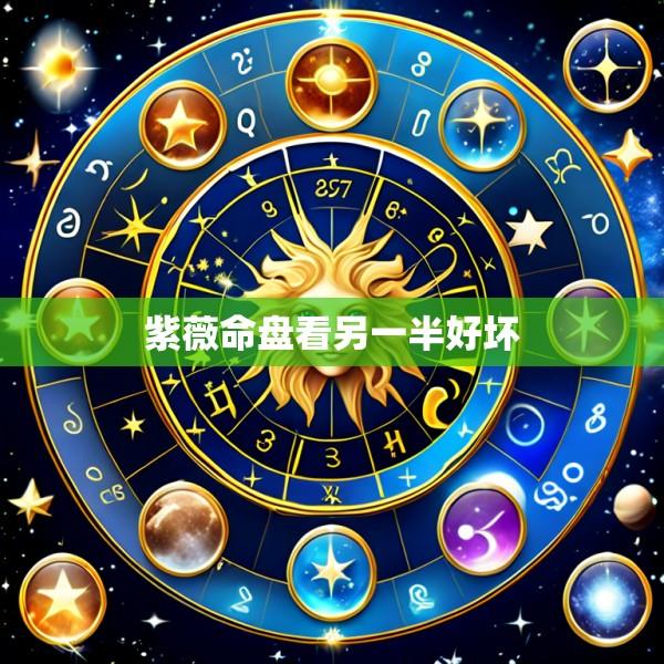 紫薇命盘看另一半好坏