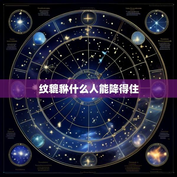 纹貔貅什么人能降得住