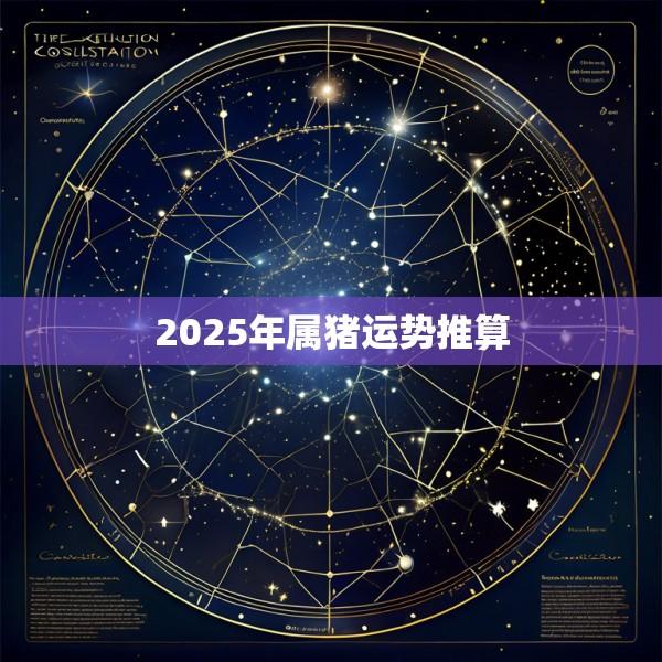 2025年属猪运势推算