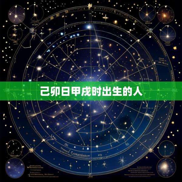 己卯日甲戌时出生的人