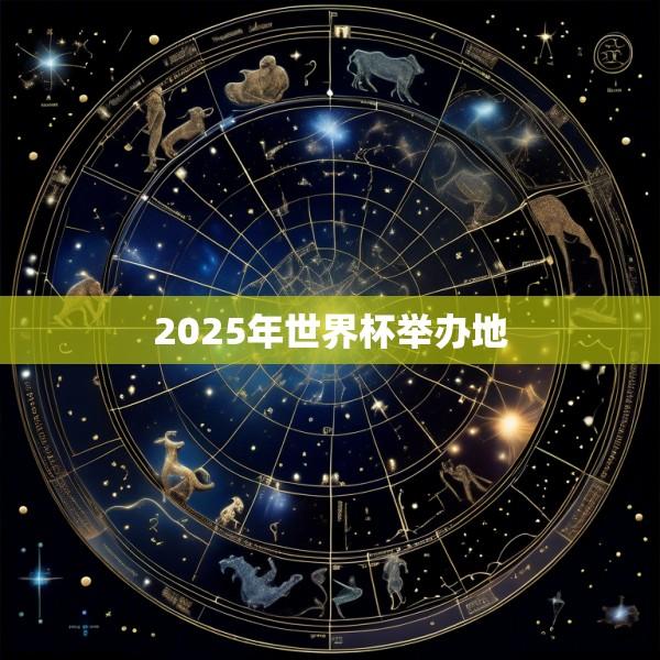 2025年世界杯举办地