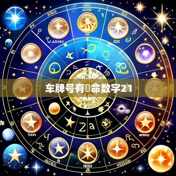 车牌号有絕命数字21