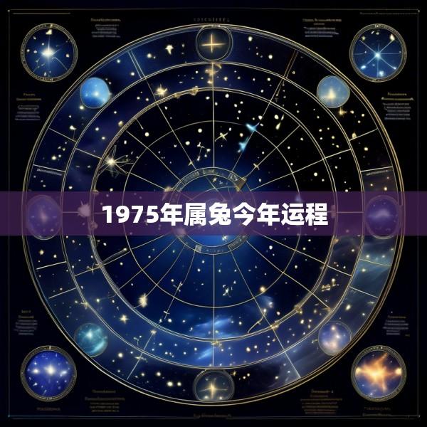 1975年属兔今年运程