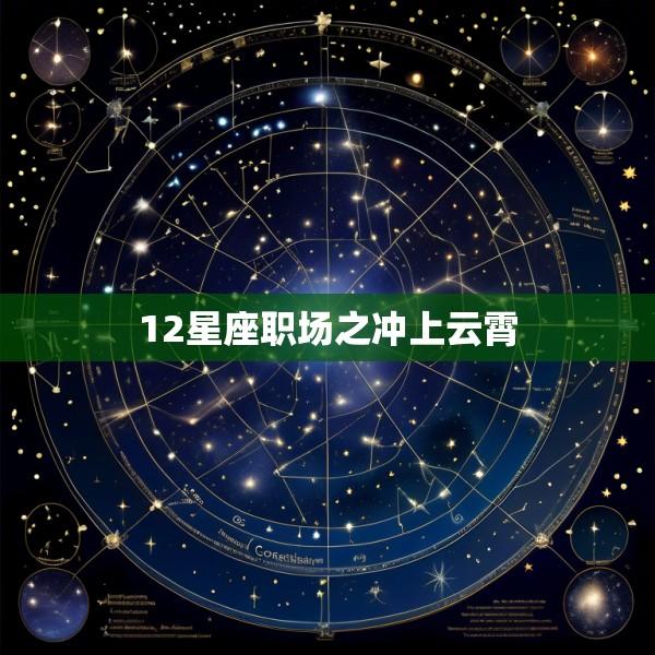 12星座职场之冲上云霄