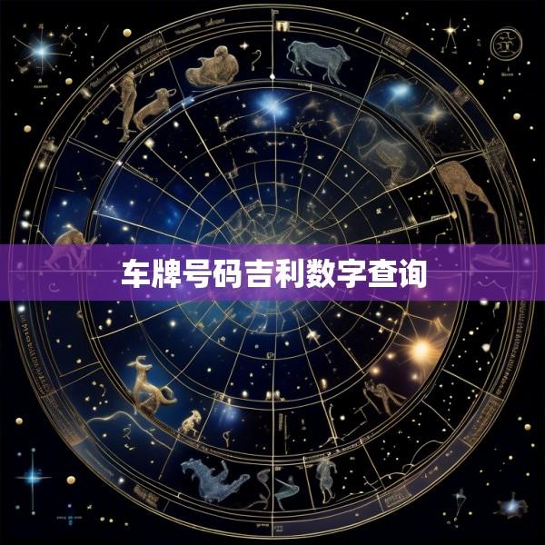 车牌号码吉利数字查询