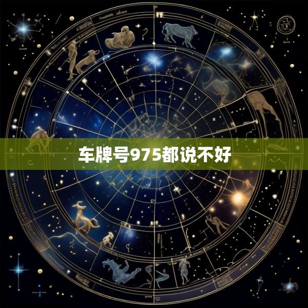 车牌号975都说不好