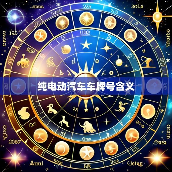 纯电动汽车车牌号含义
