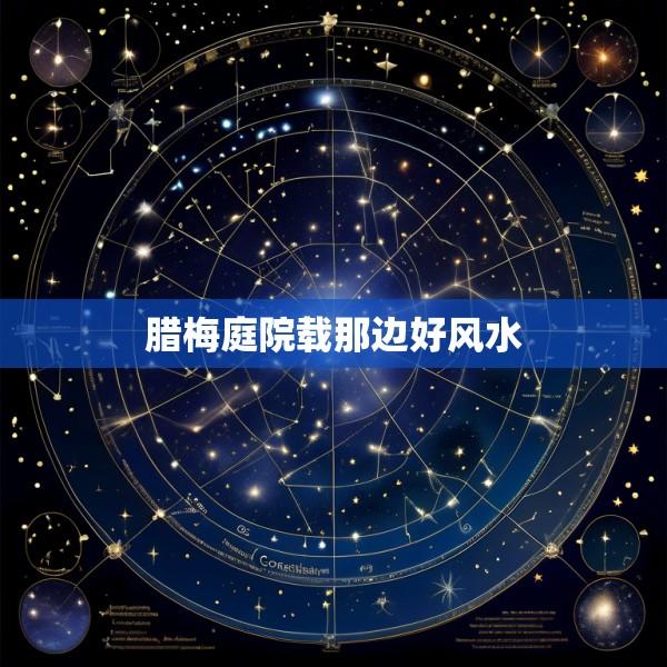 腊梅庭院载那边好风水