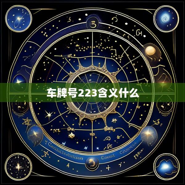 车牌号223含义什么