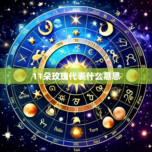 11朵玫瑰代表什么意思
