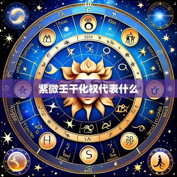 紫微壬干化权代表什么