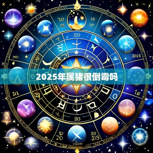2025年属猪很倒霉吗