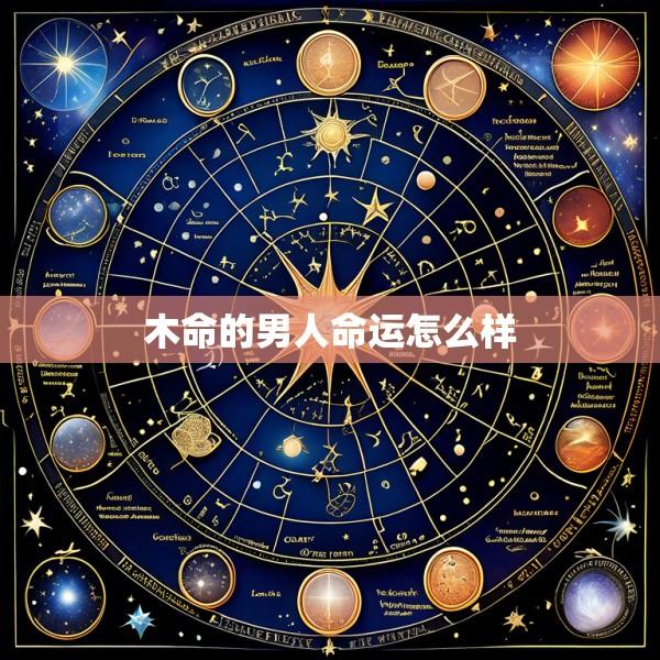 木命的男人命运怎么样