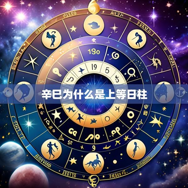 辛巳为什么是上等日柱