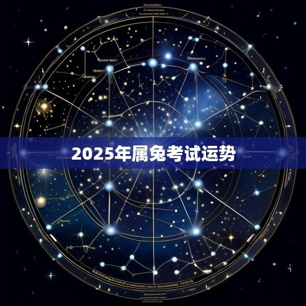 2025年属兔考试运势