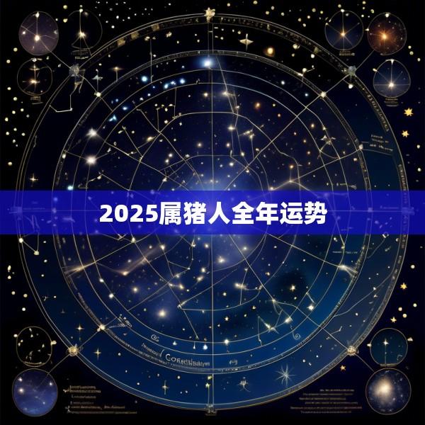 2025属猪人全年运势