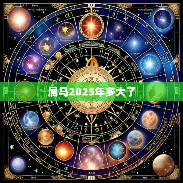 属马2025年多大了