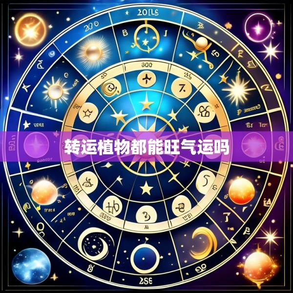 转运植物都能旺气运吗