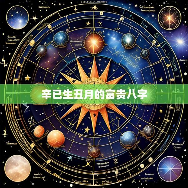 辛已生丑月的富贵八字