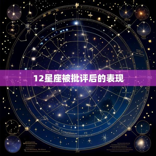 12星座被批评后的表现