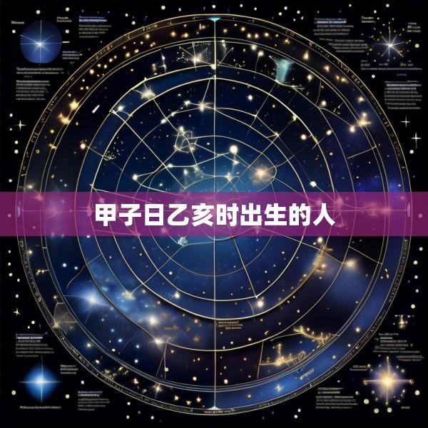 甲子日乙亥时出生的人