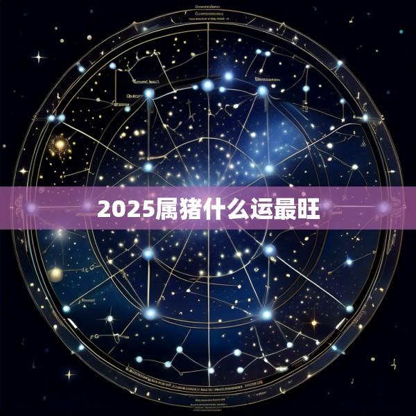 2025属猪什么运最旺
