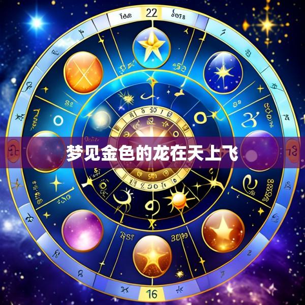 梦见金色的龙在天上飞