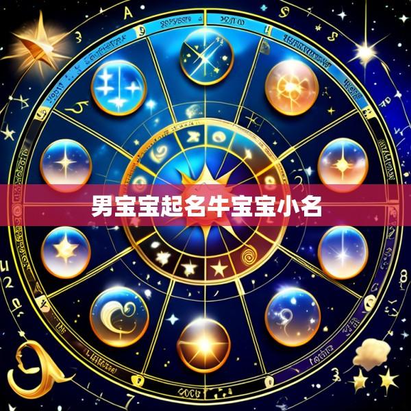 男宝宝起名牛宝宝小名